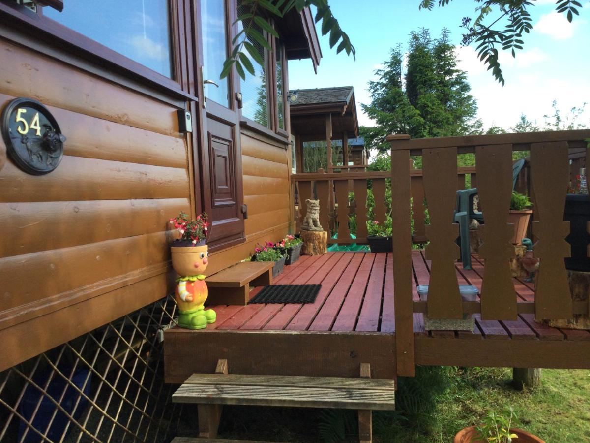 Snowdonia National Park Log Cabin With Garden Trawsfynydd Exterior foto