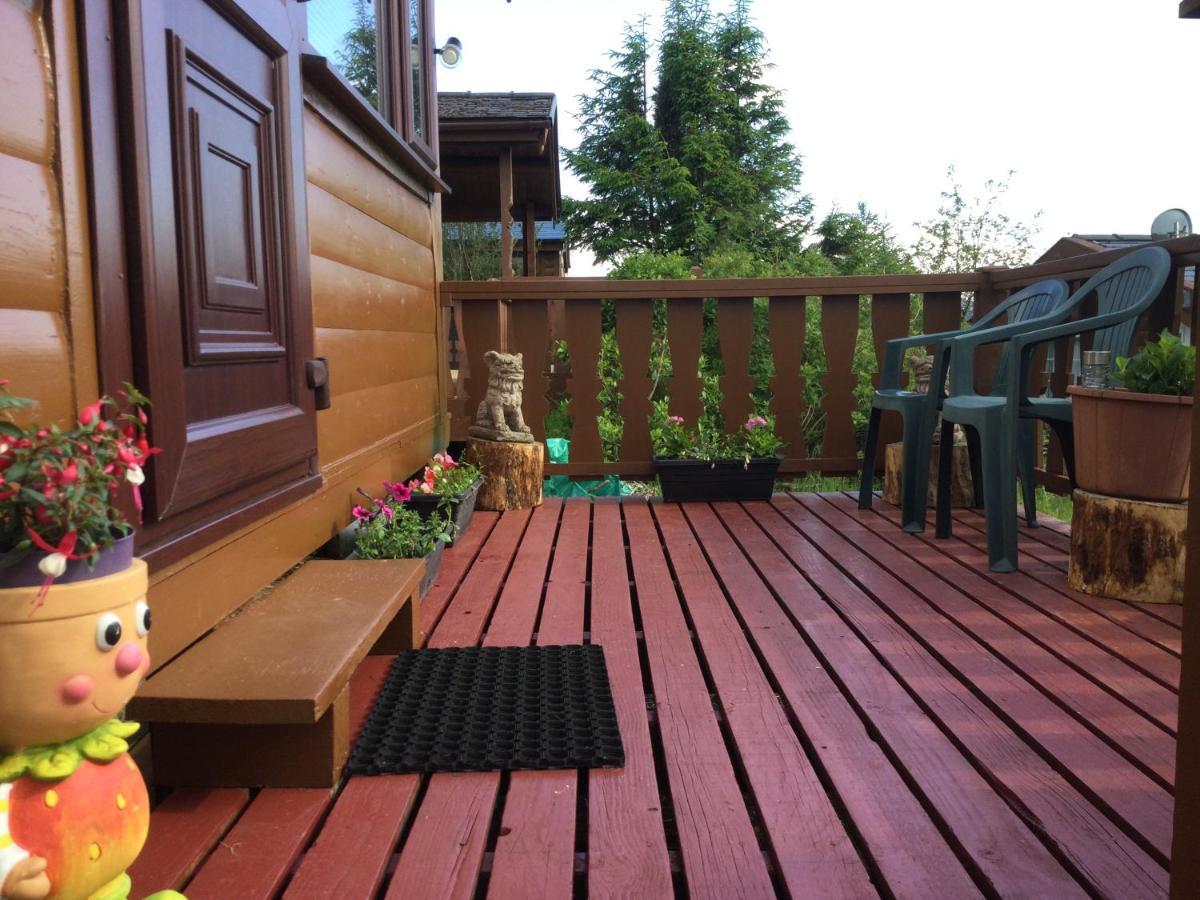 Snowdonia National Park Log Cabin With Garden Trawsfynydd Exterior foto